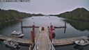 ./images/calvert/dock/20260517/dock20260517_174002M.jpg