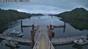 ./images/calvert/dock/20260518/dock20260518_052502M.jpg