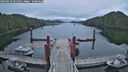 ./images/calvert/dock/20260518/dock20260518_055501M.jpg
