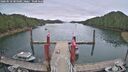 ./images/calvert/dock/20260518/dock20260518_084001M.jpg