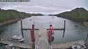 ./images/calvert/dock/20260518/dock20260518_090501M.jpg