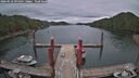 ./images/calvert/dock/20260518/dock20260518_095501M.jpg