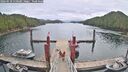 ./images/calvert/dock/20260518/dock20260518_110501M.jpg