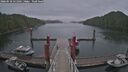 ./images/calvert/dock/20260518/dock20260518_121501M.jpg