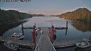 ./images/calvert/dock/20260519/dock20260519_204501M.jpg