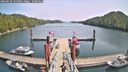 ./images/calvert/dock/20260520/dock20260520_134501M.jpg