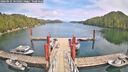 ./images/calvert/dock/20260521/dock20260521_145001M.jpg