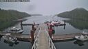 ./images/calvert/dock/20260522/dock20260522_055001M.jpg