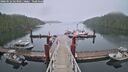 ./images/calvert/dock/20260522/dock20260522_063501M.jpg