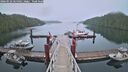 ./images/calvert/dock/20260522/dock20260522_065002M.jpg
