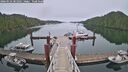 ./images/calvert/dock/20260522/dock20260522_081001M.jpg