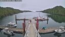 ./images/calvert/dock/20260522/dock20260522_083501M.jpg