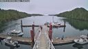 ./images/calvert/dock/20260522/dock20260522_084002M.jpg