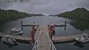 ./images/calvert/dock/20260522/dock20260522_190501M.jpg