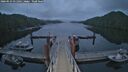 ./images/calvert/dock/20260523/dock20260523_051002M.jpg