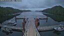 ./images/calvert/dock/20260523/dock20260523_051501M.jpg