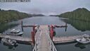 ./images/calvert/dock/20260523/dock20260523_054501M.jpg
