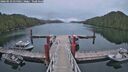 ./images/calvert/dock/20260523/dock20260523_055002M.jpg