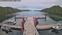 ./images/calvert/dock/20260523/dock20260523_061001M.jpg