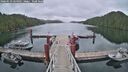 ./images/calvert/dock/20260523/dock20260523_064001M.jpg