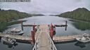 ./images/calvert/dock/20260523/dock20260523_072501M.jpg