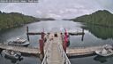 ./images/calvert/dock/20260523/dock20260523_090501M.jpg