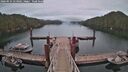 ./images/calvert/dock/20260524/dock20260524_053001M.jpg