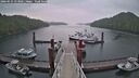 ./images/calvert/dock/20260525/dock20260525_053501M.jpg