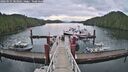 ./images/calvert/dock/20260525/dock20260525_083002M.jpg