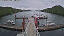 ./images/calvert/dock/20260525/dock20260525_092001M.jpg