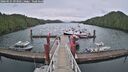./images/calvert/dock/20260525/dock20260525_093501M.jpg