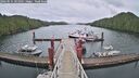 ./images/calvert/dock/20260525/dock20260525_101002M.jpg