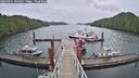 ./images/calvert/dock/20260525/dock20260525_104501M.jpg