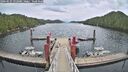 ./images/calvert/dock/20260525/dock20260525_132001M.jpg