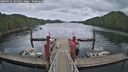 ./images/calvert/dock/20260525/dock20260525_141001M.jpg