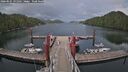 ./images/calvert/dock/20260525/dock20260525_191001M.jpg