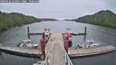 ./images/calvert/dock/20260526/dock20260526_122001M.jpg