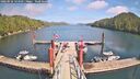 ./images/calvert/dock/20260526/dock20260526_143501M.jpg