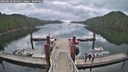 ./images/calvert/dock/20260528/dock20260528_084501M.jpg