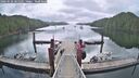 ./images/calvert/dock/20260528/dock20260528_085501M.jpg