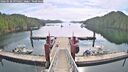./images/calvert/dock/20260528/dock20260528_095001M.jpg