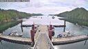 ./images/calvert/dock/20260528/dock20260528_095501M.jpg