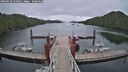 ./images/calvert/dock/20260528/dock20260528_110001M.jpg