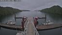 ./images/calvert/dock/20260528/dock20260528_123002M.jpg