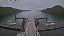 ./images/calvert/dock/20260528/dock20260528_123501M.jpg
