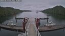 ./images/calvert/dock/20260528/dock20260528_134501M.jpg