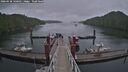 ./images/calvert/dock/20260528/dock20260528_140501M.jpg
