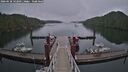 ./images/calvert/dock/20260528/dock20260528_142001M.jpg