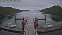 ./images/calvert/dock/20260528/dock20260528_171001M.jpg