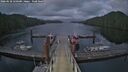 ./images/calvert/dock/20260528/dock20260528_220501M.jpg